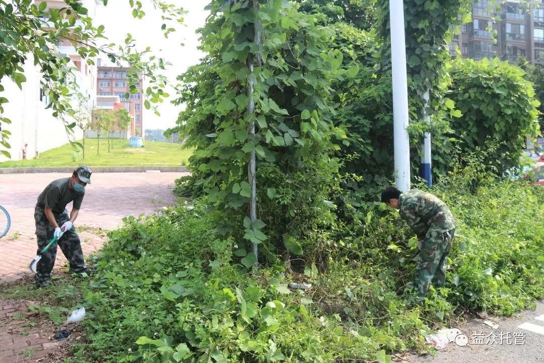 ABG集团·(中国)官网