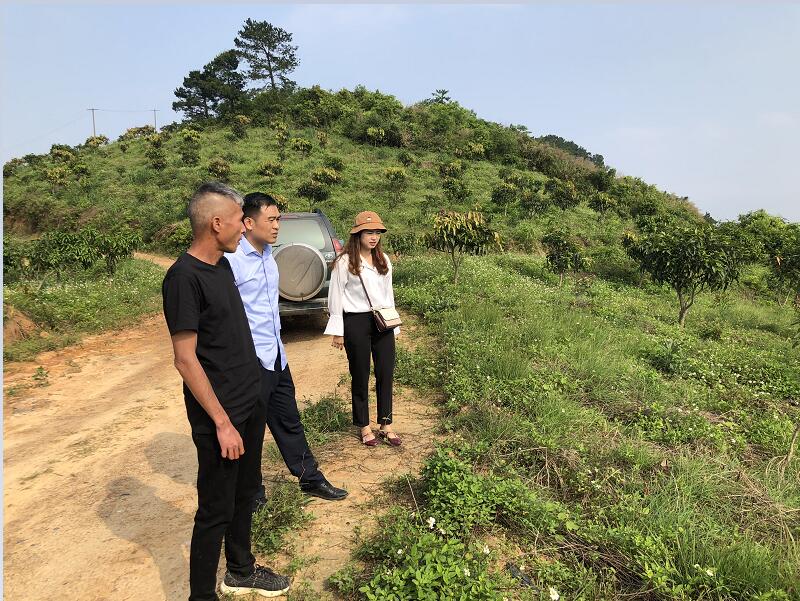 ABG集团·(中国)官网