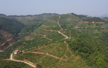 ABG集团·(中国)官网